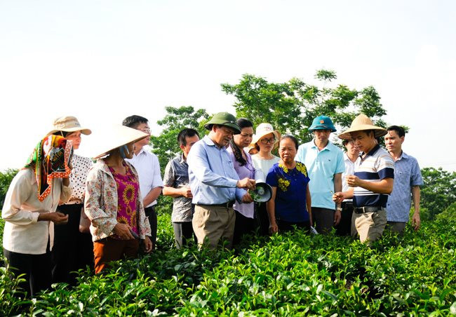Tỉnh Thái Nguyên ban hành Kế hoạch thực hiện mục tiêu giảm nghèo bền vững năm 2025.