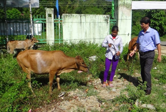 Khánh Hoà hướng dẫn kỹ thuật cho bà con đồng bào dân tộc thiểu số phát triển kinh tế.