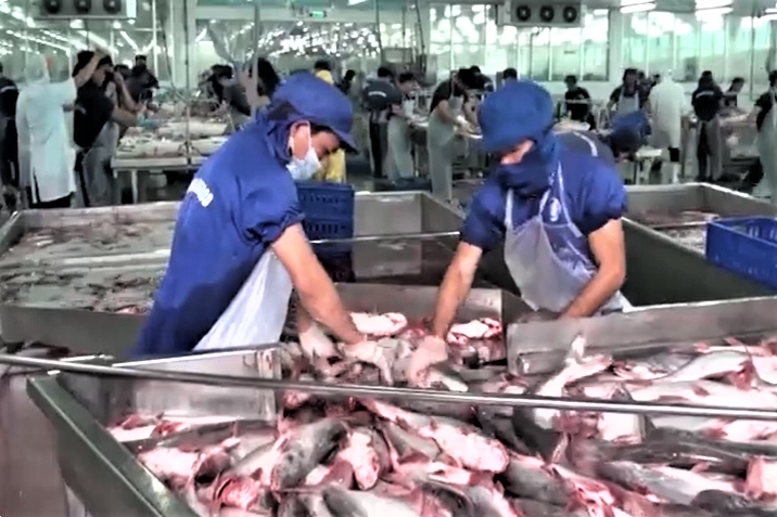 TP. Hà Nội nâng cao chất lượng, chế biến, gia tăng giá trị nông sản