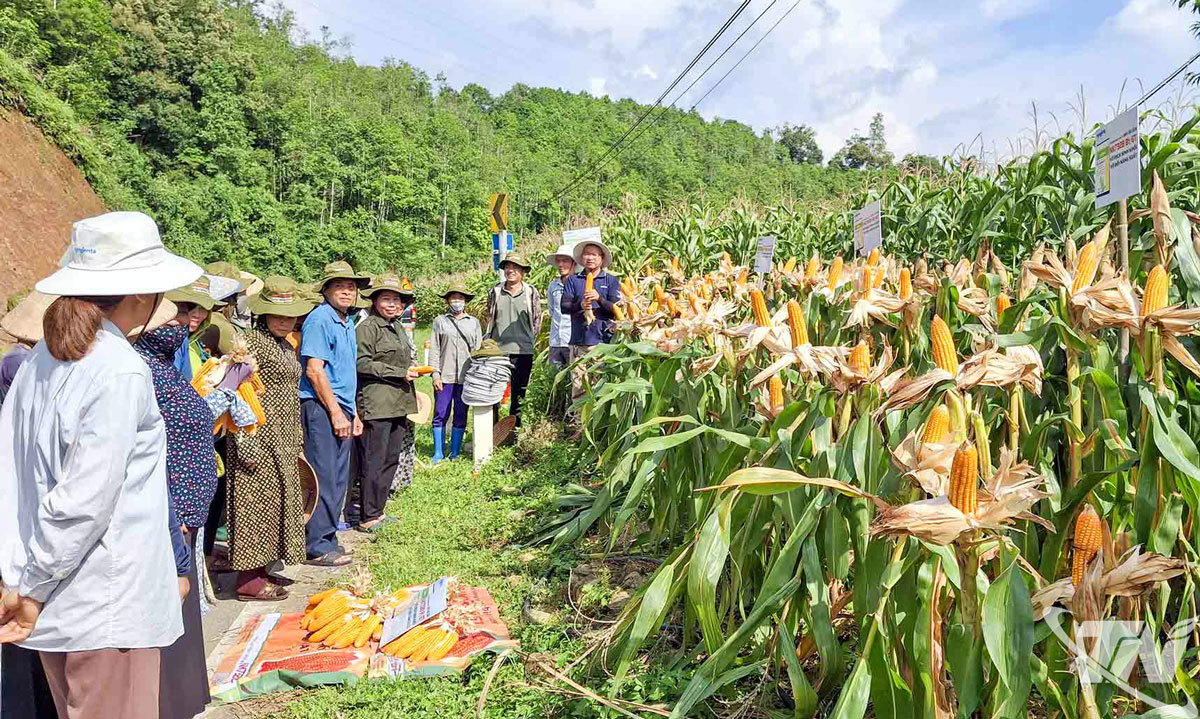 Xác định giảm nghèo là nhiệm vụ trọng tâm, Thái Nguyên đã huy động cả hệ thống chính trị cùng vào cuộc.