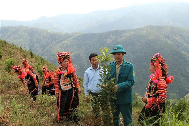 Nhiều sản phẩm nông nghiệp của tỉnh Lai Châu đã vươn lên trở thành thương hiệu đặc trưng.