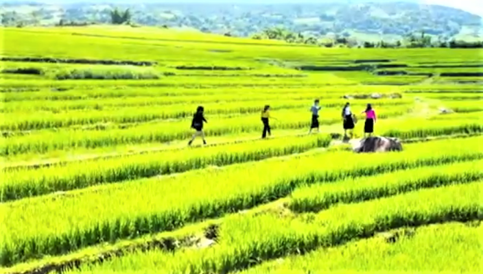 Quảng Ninh huy động, phân bổ và sử dụng hiệu quả các nguồn lực tài chính trong bảo vệ môi trường.