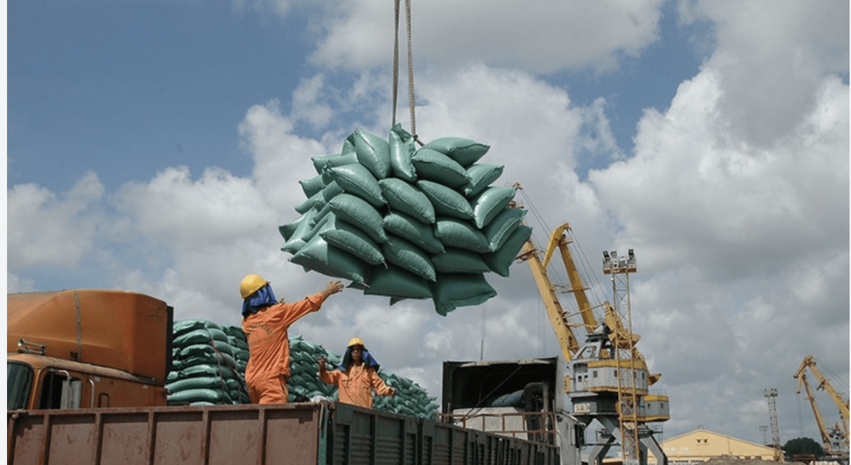 Các doanh nghiệp xây dựng và quảng bá thương hiệu gạo Việt Nam trên thị trường quốc tế.
