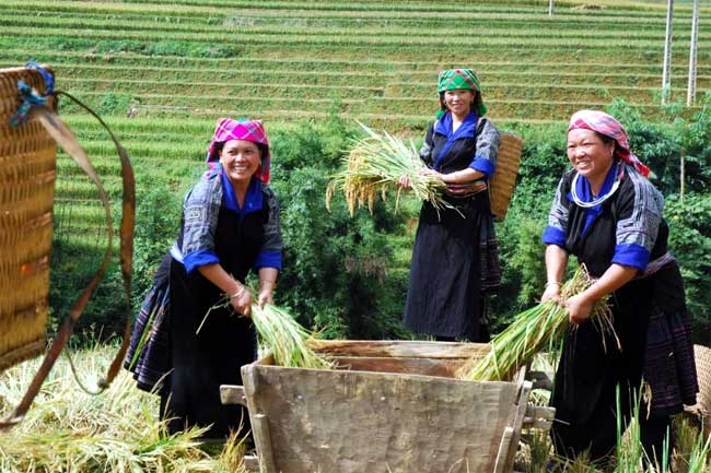 Tỷ lệ hộ nghèo khu vực đồng bào dân tộc thiểu số đã giảm từ 25% xuống chỉ còn 12,55%.