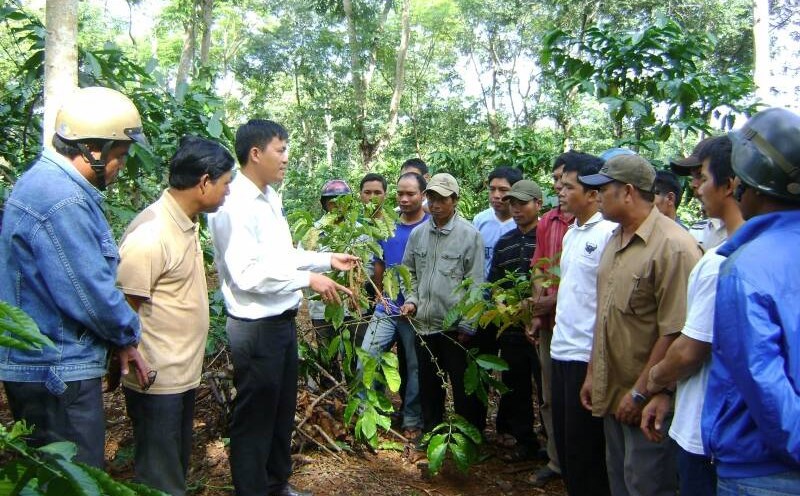 Cán bộ và người dân huyện nghèo Cao Bằng chung tay trồng rừng, nâng cao sinh kế bền vững và cải thiện đời sống.