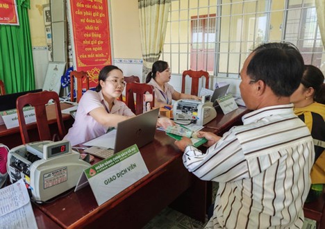 Ngân hàng Chính sách Xã hội Bạc Liêu (tỉnh Cà Mau) giải ngân nguồn vốn vay ưu đãi giúp đồng bào Khemr phát triển kinh tế, thoát nghèo bền vững. 