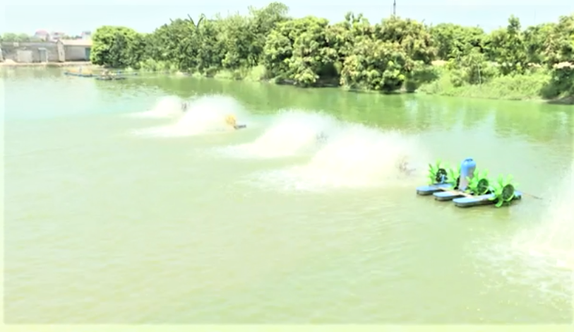 Hà Nội đẩy mạnh phát triển nuôi trồng thủy sản bền vững