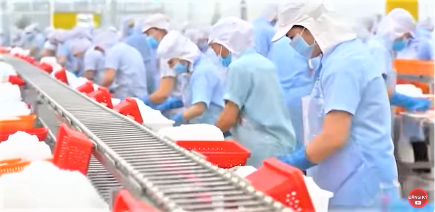 Thị trường nội địa không chỉ là "phao cứu sinh" khi xuất khẩu gặp khó, mà còn là một “mảnh đất vàng” cho sự phát triển bền vững của ngành cá tra.