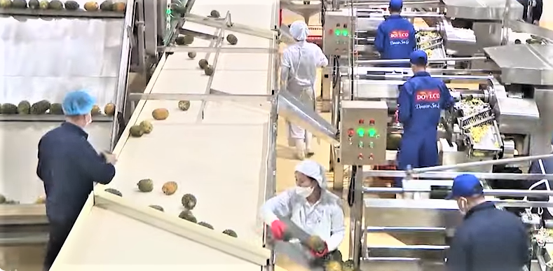 Sơn La đẩy mạnh chế biến nâng cao giá trị xuất khẩu nông sản