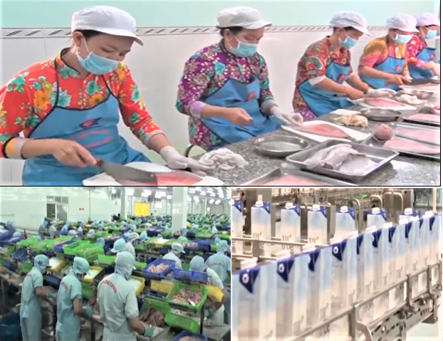 Chế biến sâu được xác định là “đòn bẩy” chiến lược, giúp nông sản Việt gia tăng giá trị,
