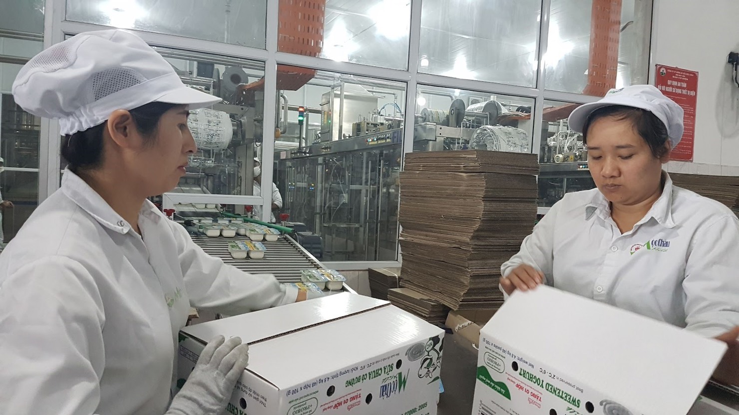 Lao động có việc làm tăng so với cùng kỳ năm trước.