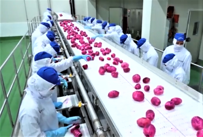 Việt Nam tập trung phát triển thương hiệu quốc gia cho nông sản