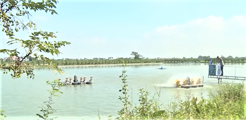 Thủy sản tăng trưởng khá nhờ nuôi trồng ứng dụng công nghệ cao.