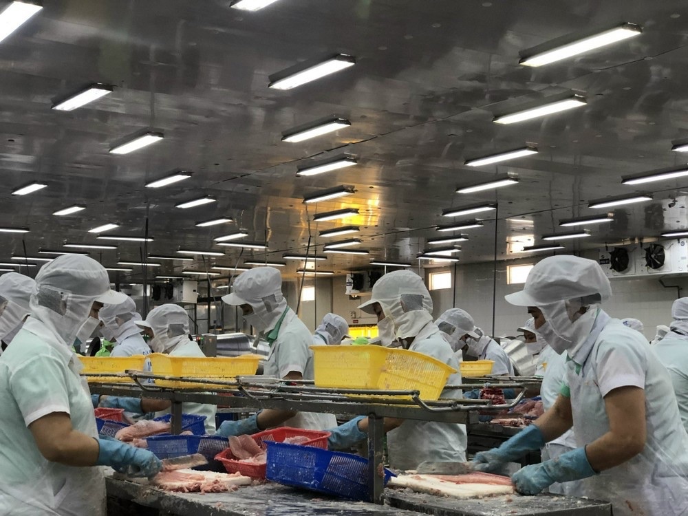 Thủy sản là một trong những thế mạnh của Đồng Tháp