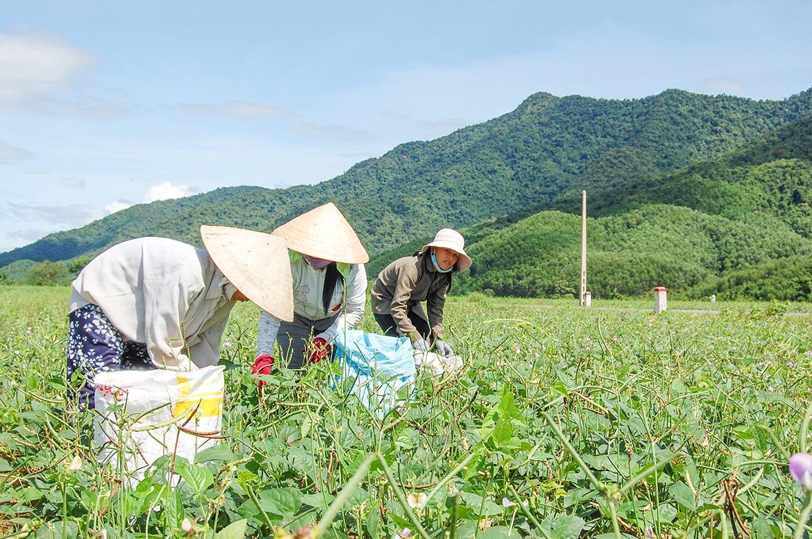 Đến cuối năm 2024, tỷ lệ hộ nghèo cả nước giảm còn 1,93%, giảm 3,27% so với cuối năm 2022.