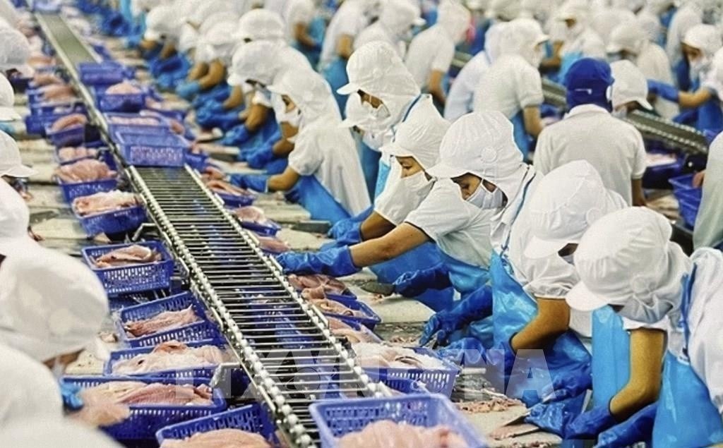 Gỡ được thẻ vàng IUU, xuất khẩu hải sản sang EU sẽ thuận lợi hơn