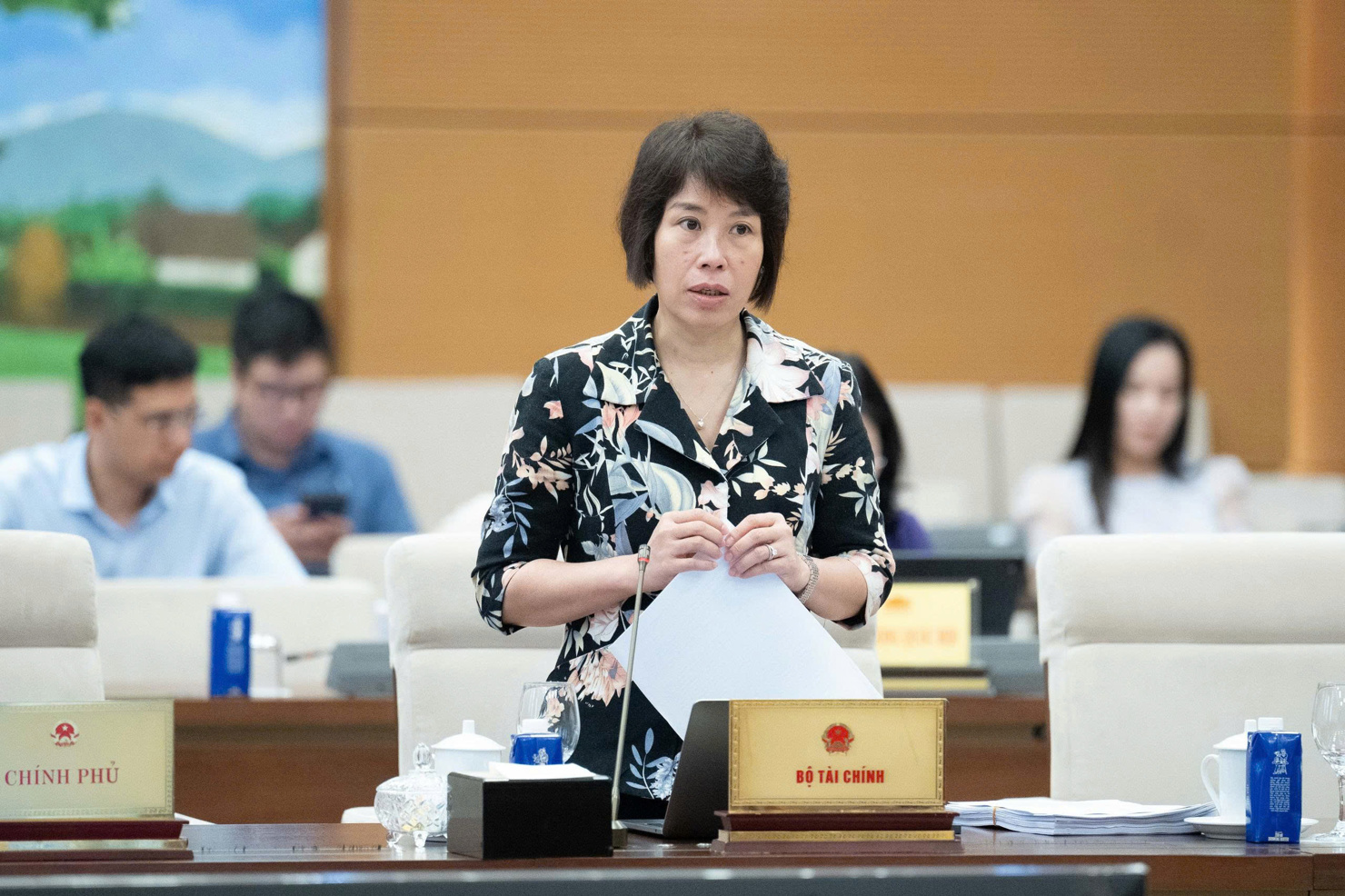 Thứ trưởng Bộ Tài chính Nguyễn Thị Bích Ngọc làm rõ các quy định tại dự thảo Luật Đầu tư (thay thế).