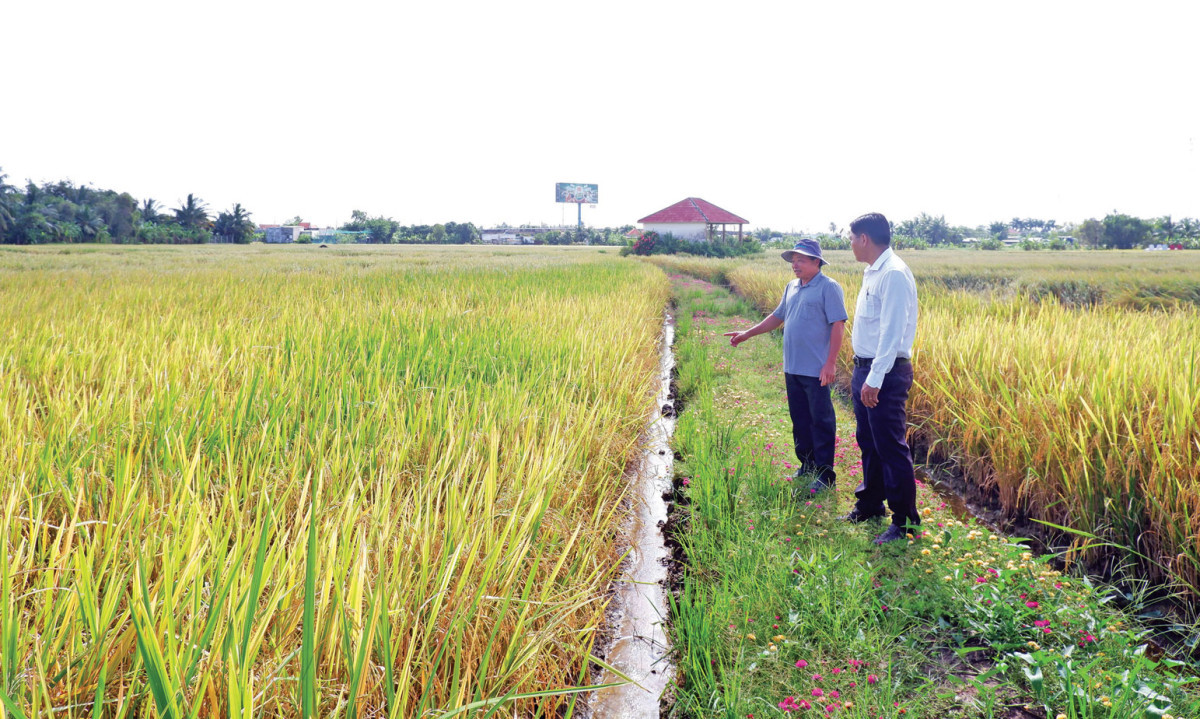 Giảm nghèo bền vững gắn với xây dựng nông thôn mới.