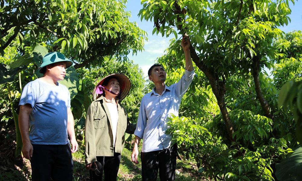Bắc Ninh đã triển khai nhiều mô hình phát triển sản xuất giúp hàng nghìn hộ dân có việc làm ổn định và cải thiện thu nhập.