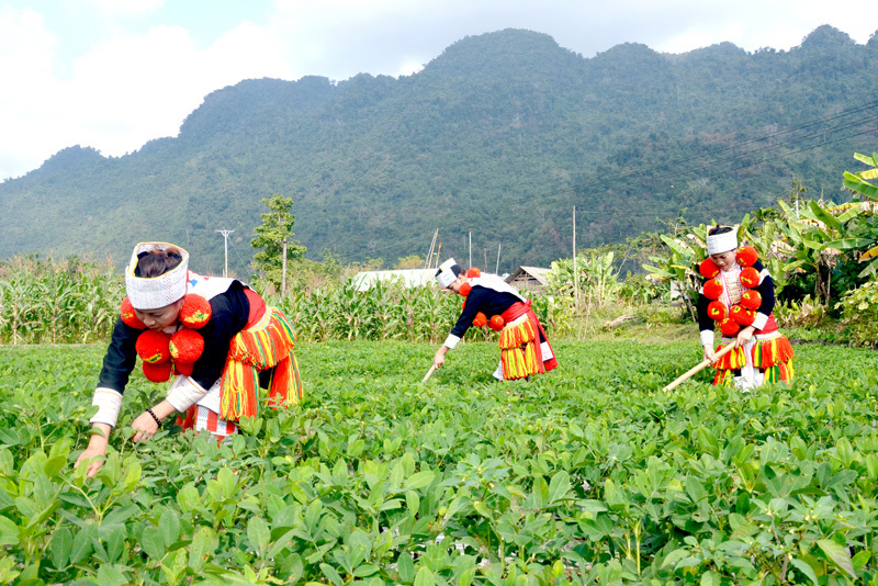 Chính phủ sẽ bổ sung, làm rõ quy trình lập, giao và điều chỉnh kế hoạch đầu tư công trung hạn, hằng năm đối với các chương trình mục tiêu quốc gia. Ảnh: internet