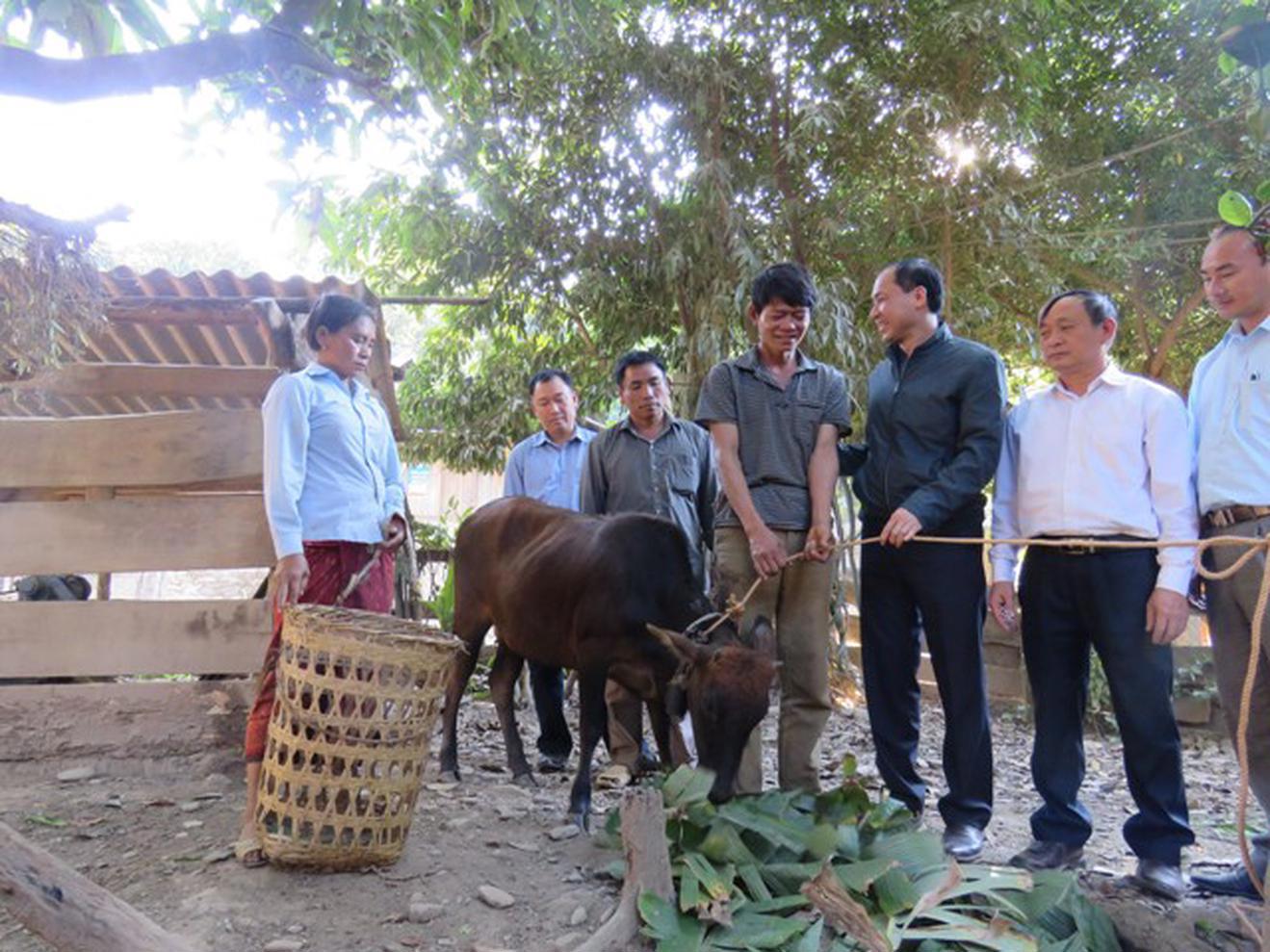 Người dân miền núi Nghệ An phấn khởi khi được tiếp cận nguồn vốn vay ưu đãi để mở rộng sản xuất