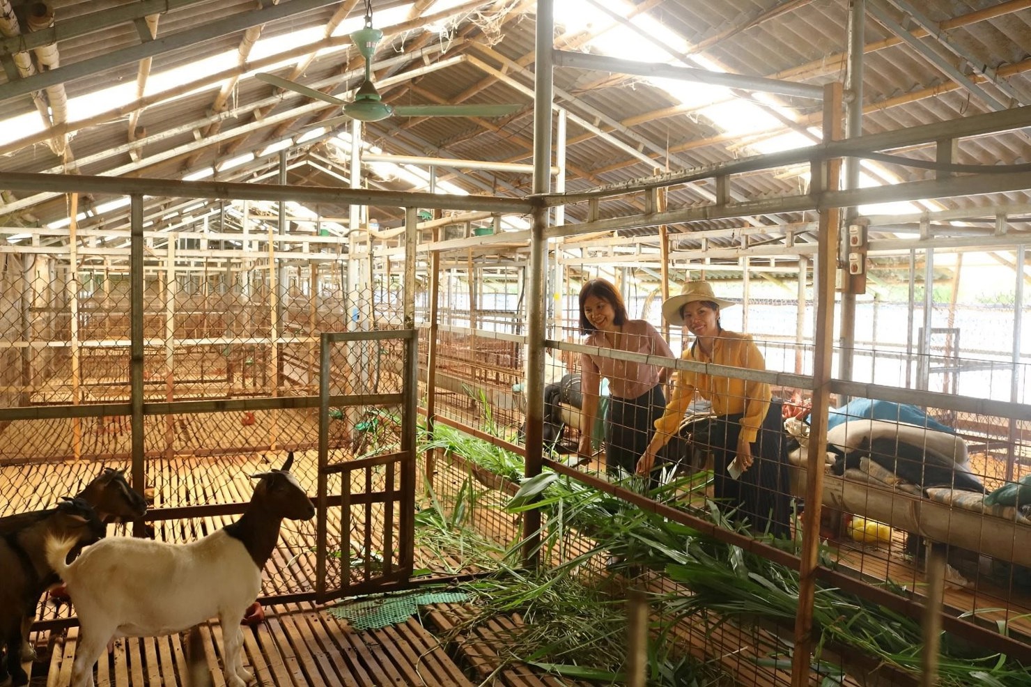 Người dân tại Điện Biên có những hướng đi hiệu quả giúp có thêm nguồn thu nhập ổn định, từng bước thoát nghèo.