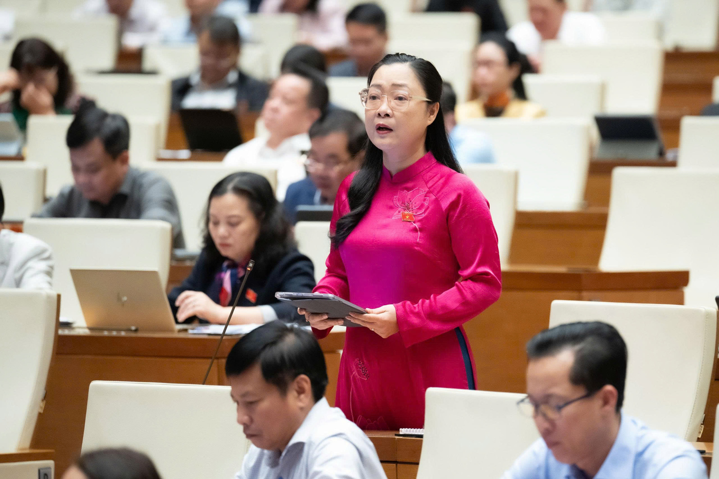 Đại biểu Nguyễn Thị Quyên Thanh - Đoàn Vĩnh Long.