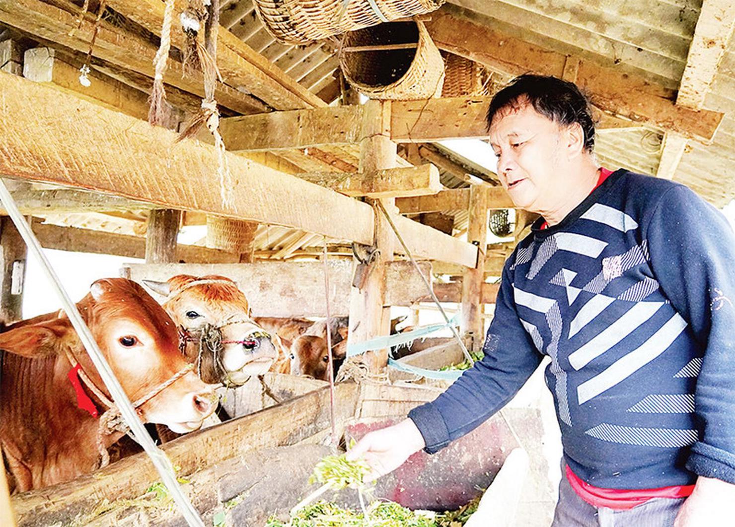 Đà Nẵng đã triển khai nhiều chính sách an sinh đồng bộ, tạo nền tảng cho người nghèo vươn lên.