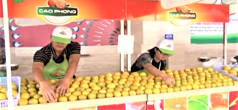 Cam Cao Phong sản phẩm mang thương hiệu của tỉnh Phú Thọ.