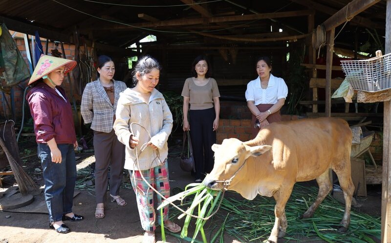 Việt Nam là một trong những quốc gia có tốc độ giảm nghèo nhanh nhất thế giới.
