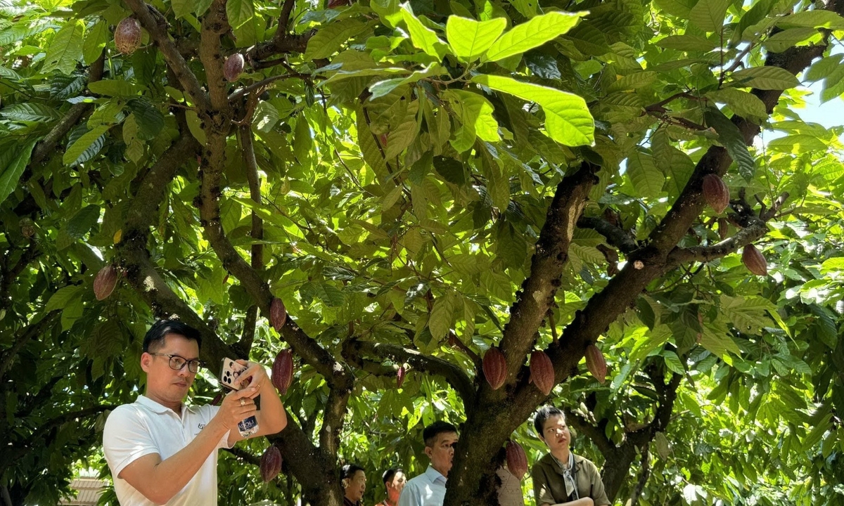 Đồng Nai sẽ nhân rộng mô hình nông nghiệp ứng dụng công nghệ cao với các sản phẩm nông nghiệp có giá trị, nâng cao thu nhập của người dân, phục vụ mục tiêu giảm nghèo bền vững của địa phương.