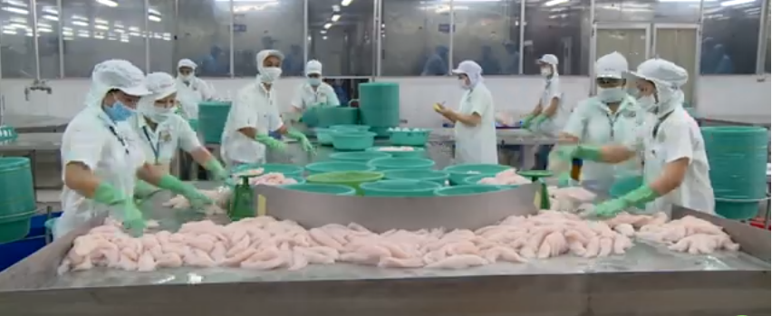 Sản xuất nông nghiệp ổn định tạp nền tảng tăng trưởng bền vững giai đoạn cuối năm. Ảnh minh họa