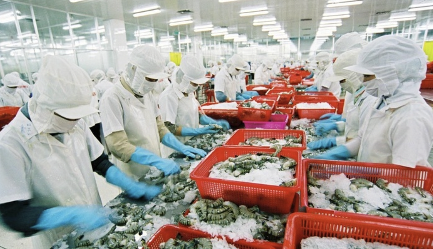 Xuất khẩu thủy sản sang thị trường CPTPP có xu hướng tăng trưởng tích cực.