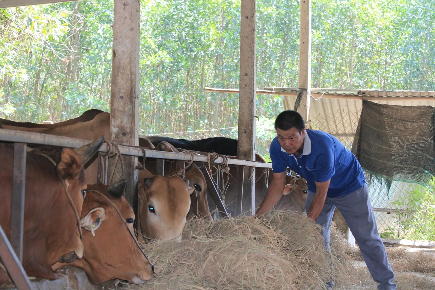 Tỉnh Khánh Hòa chú trọng chuyển đổi căn bản về sinh kế, kỹ năng và tổ chức cộng đồng trong thực hiện giảm nghèo bền vững. Ảnh minh họa.