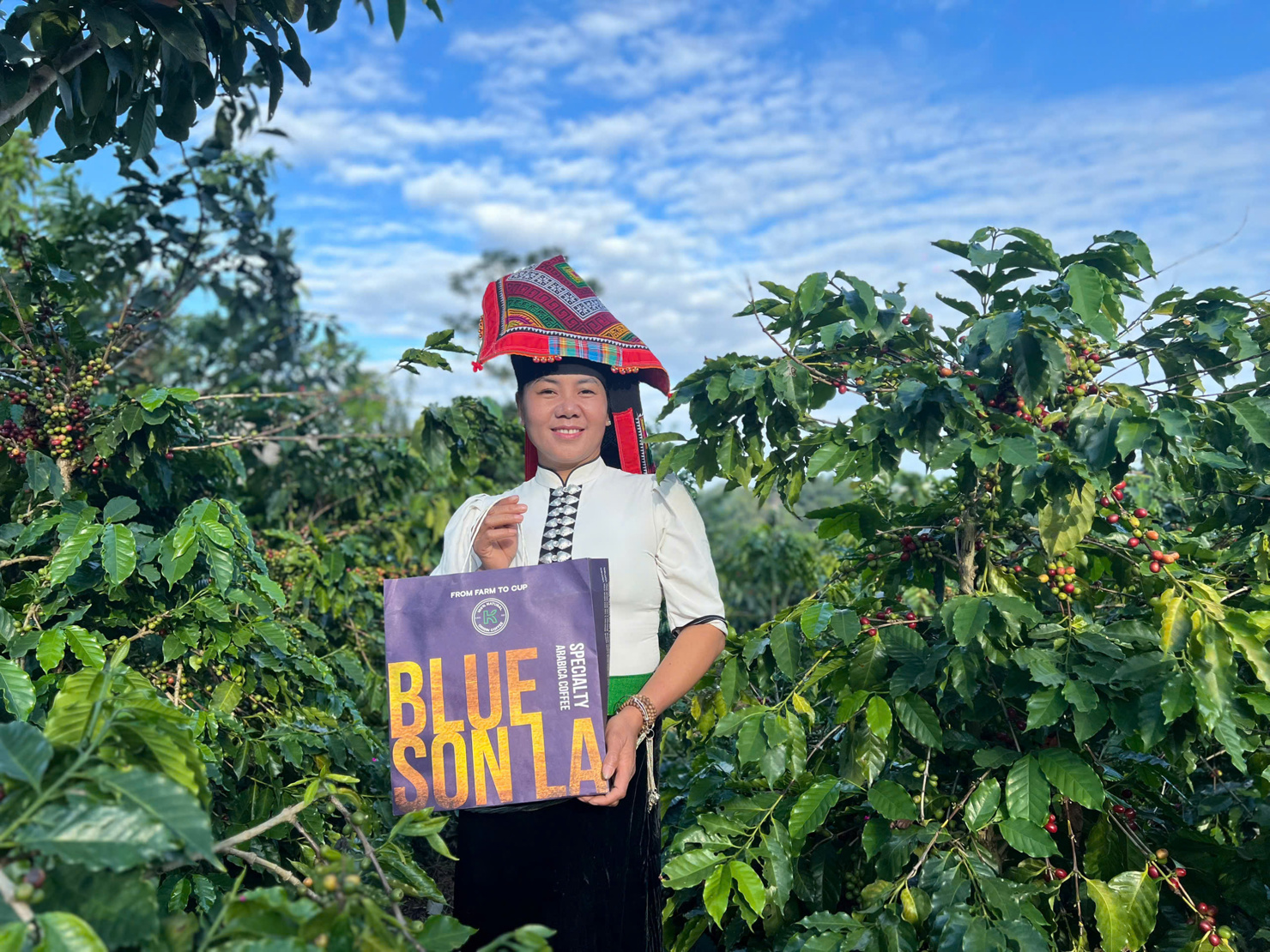  Nông dân tham gia quy trình trồng cà phê theo kỹ thuật mới. Ảnh: TNga.