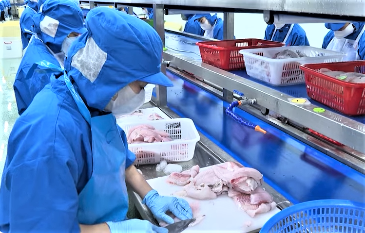 Cá rô phi là một trong những mặt hàng xuất khẩu của tỉnh Đắk Lắk