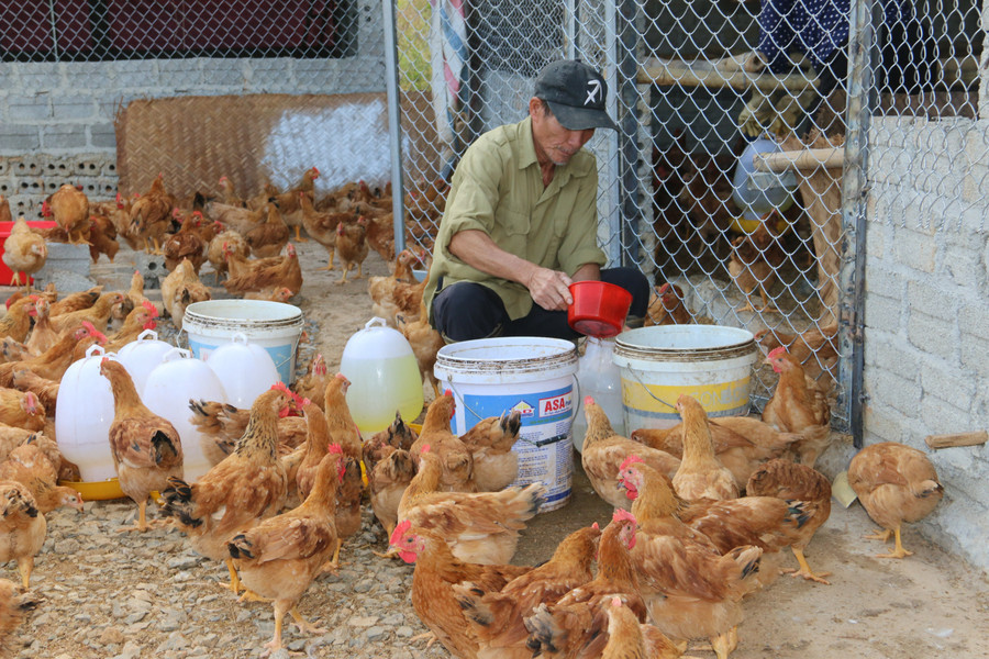 Tỉnh Sơn La vận động người dân đồng bào DTTS ở các xã chuyển đổi cơ cấu cây trồng, vật nuôi có hiệu quả kinh tế cao.