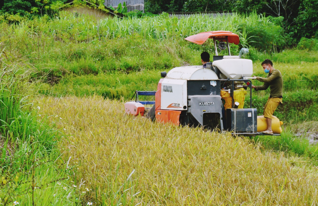 Quảng Ninh triển khai hiệu quả Chương trình giảm nghèo bền vững giai đoạn 2021 - 2025.