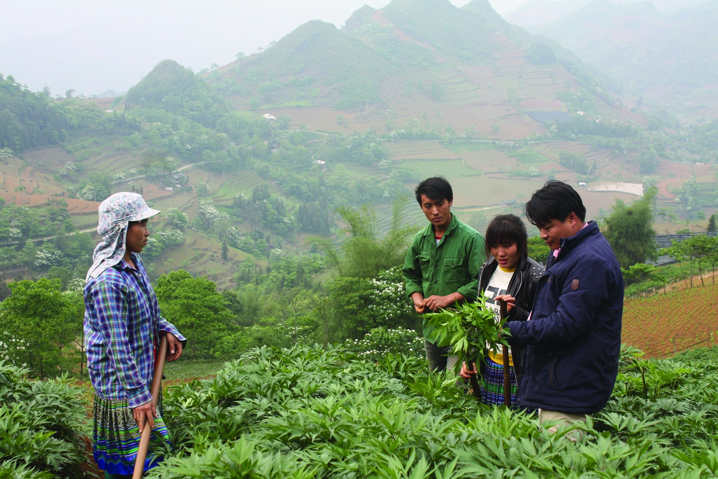 Đến năm 2025, tỉnh Lào Cai phấn đấu giảm tỷ lệ hộ nghèo toàn tỉnh xuống còn trên 4%.