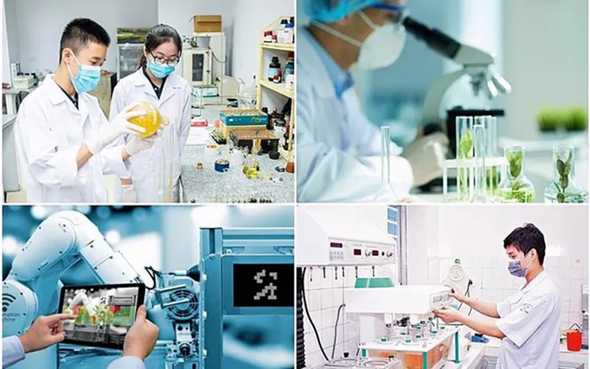 Các chuyên gia, nhà khoa học, người có tài năng đặc biệt được hưởng thu nhập từ 30 triệu đến 100 triệu đồng/tháng. Ảnh: TL