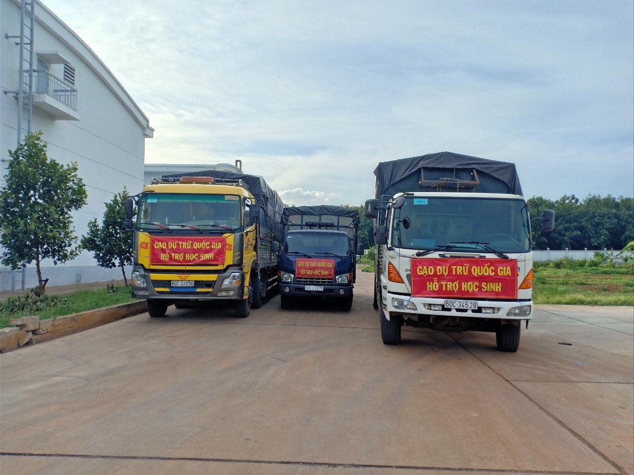 Chi cục Dự trữ Nhà nước khu vực II hoàn thành việc cấp xuất gạo hỗ trợ học sinh tại TP. Hồ Chí Minh và Đồng Nai trước thời hạn.