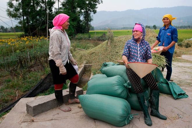 Công tác đào tạo nghề, giải quyết việc làm được coi là nền tảng giúp các hộ nghèo Hưng Yên tự vươn lên.