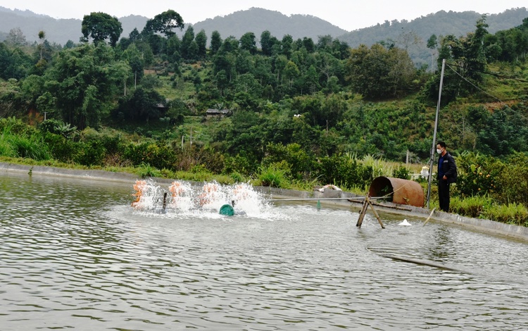 Chính phủ ban hành Nghị định xử phạt vi phạm hành chính trong lĩnh vực tài nguyên nước.