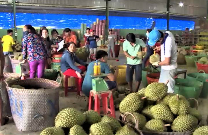 Xuất khẩu rau quả Việt Nam hướng tới kỷ lục 8,5 tỷ USD trong năm 2025