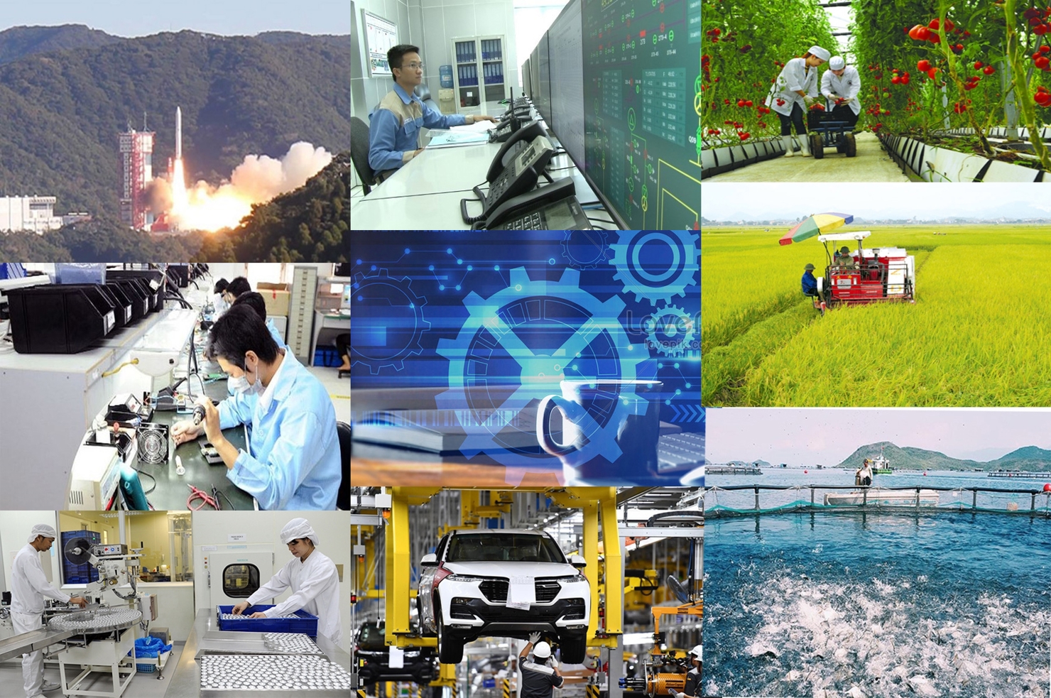 Doanh nghiệp tư nhân chiếm khoảng 98,5% tổng số doanh nghiệp khoa học và công nghệ.