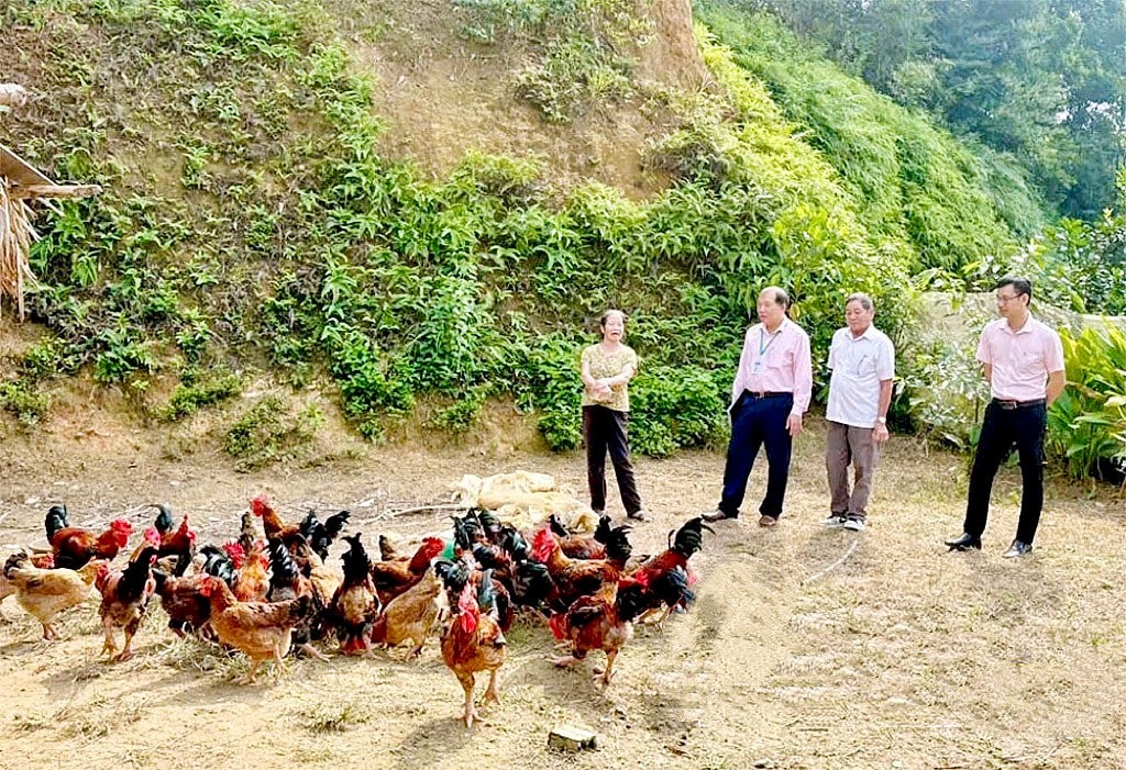 Nhiều mô hình sinh kế đã giúp người dân các địa phương vươn lên thoát nghèo bền vững.