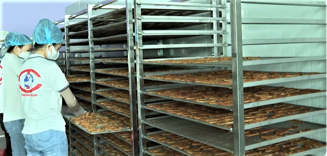 Quảng trị đẩy mạnh ứng dụng công nghệ cao trong chế biến sâu, chế biến tinh gia tăng giá trị hàng nông sản