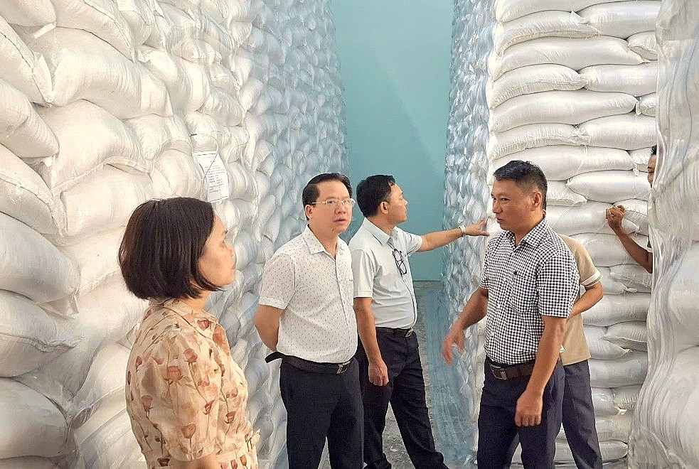 Ông Hoàng Anh Tuấn - Chi cục trưởng Chi cục DTNN khu vực X kiểm tra công tác bảo quản gạo tại Điểm kho dự trữ ĐK6.KV10.