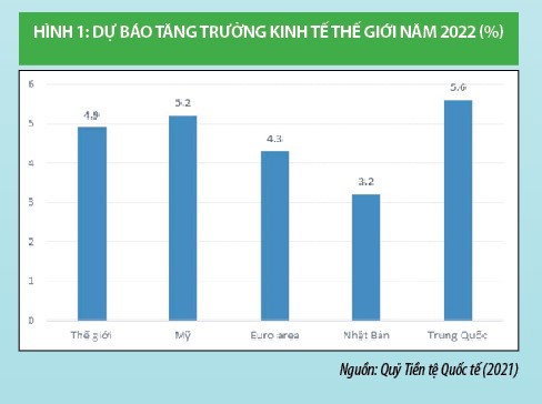 Kinh tế thế giới năm 2021 và kịch bản năm 2022 - Ảnh 2