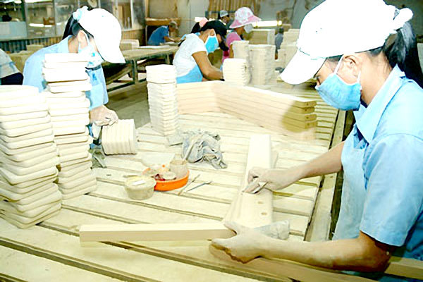 Việt Nam đối mặt với những rủi ro nào trong "năm Covid thứ hai"? - Ảnh 1
